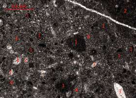 亮晶含砾屑砂屑灰岩