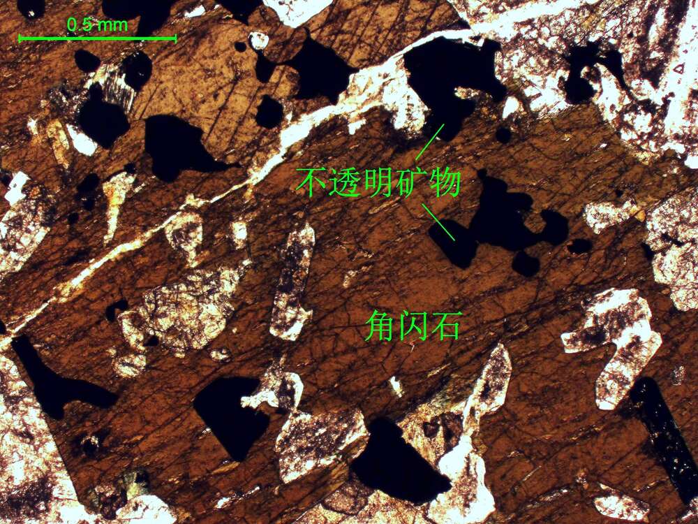 角闪石、不透明矿物