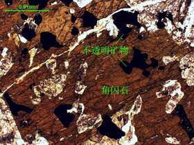 角闪石、不透明矿物