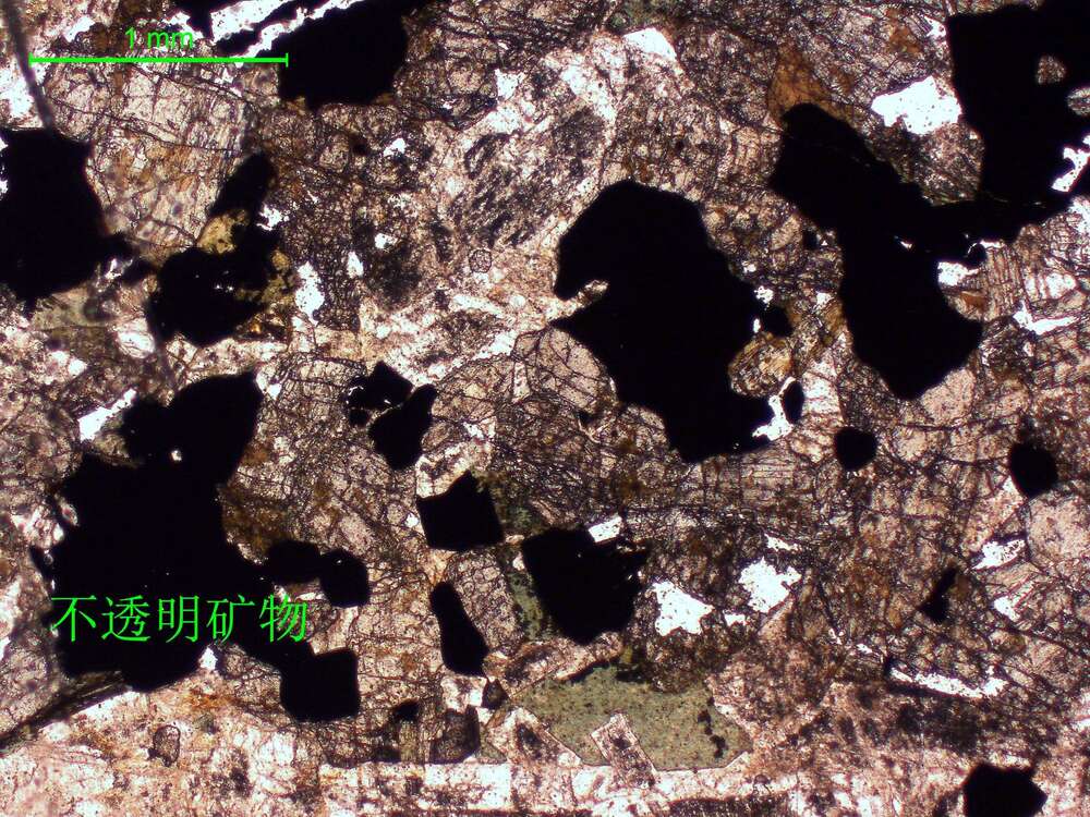 2蚀变辉长岩 他形粒状结构