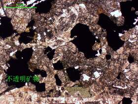 2蚀变辉长岩 他形粒状结构