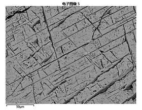  磁铁矿中出溶钛铁矿COMPO像
