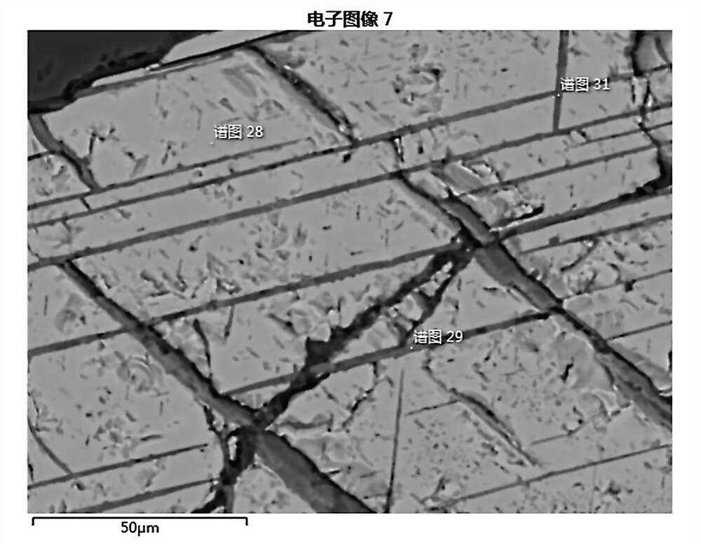 磁铁矿中出溶钛铁矿COMPO像