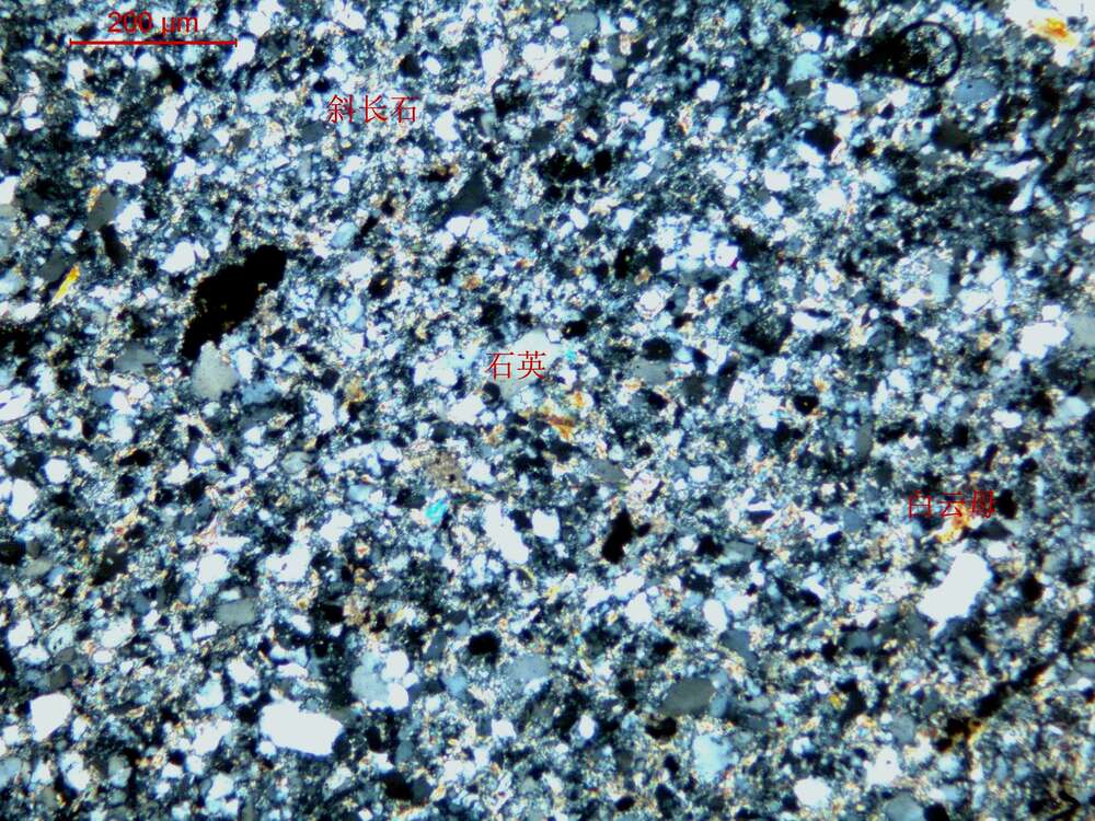 蚀变石英闪长玢岩