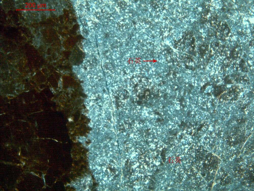 含铁含放射虫硅质岩