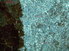 含铁含放射虫硅质岩