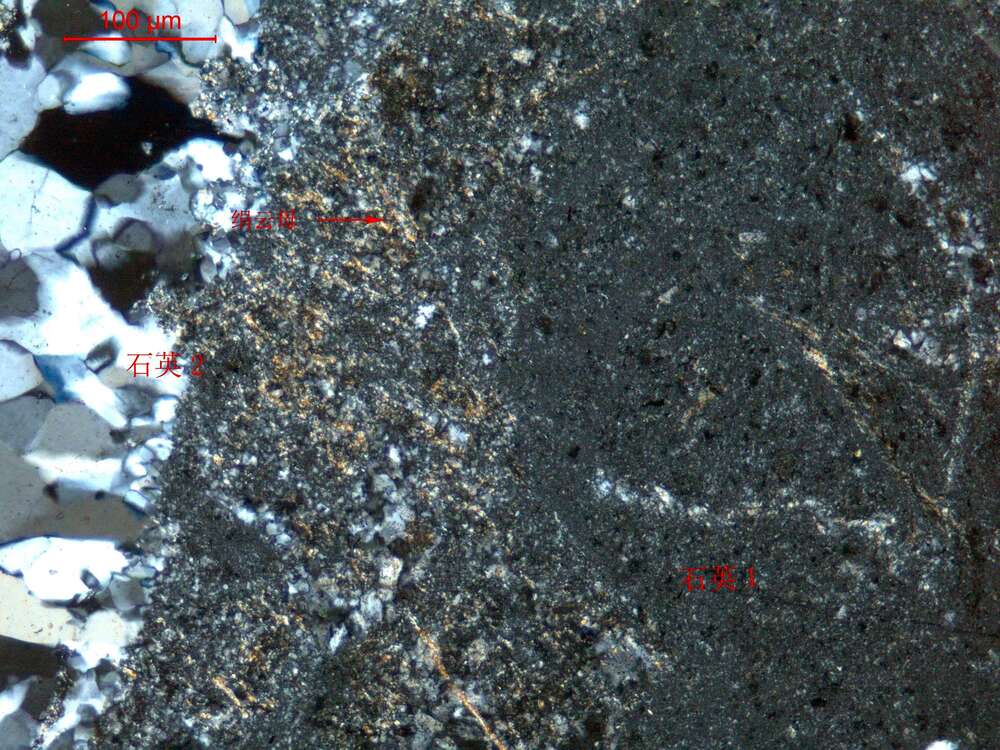 全硅化含泥硅质岩（石英岩）