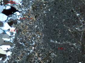 全硅化含泥硅质岩（石英岩）