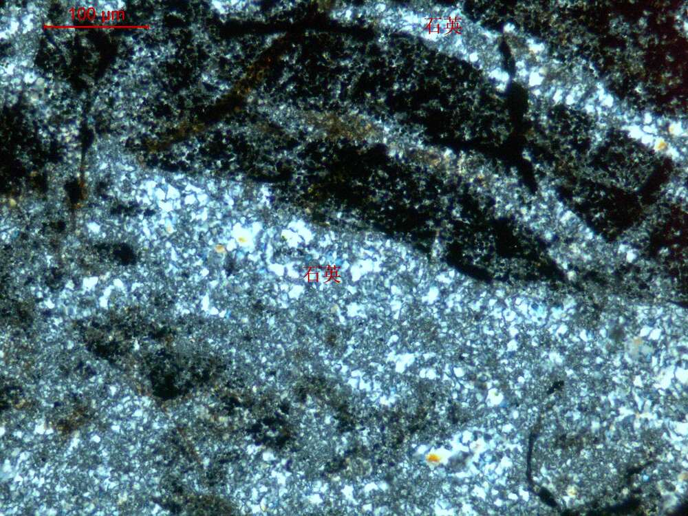 碎裂化硅质岩—锰矿矿石