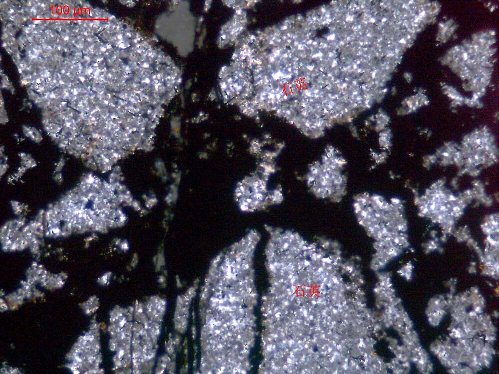 硅质岩—锰矿矿石