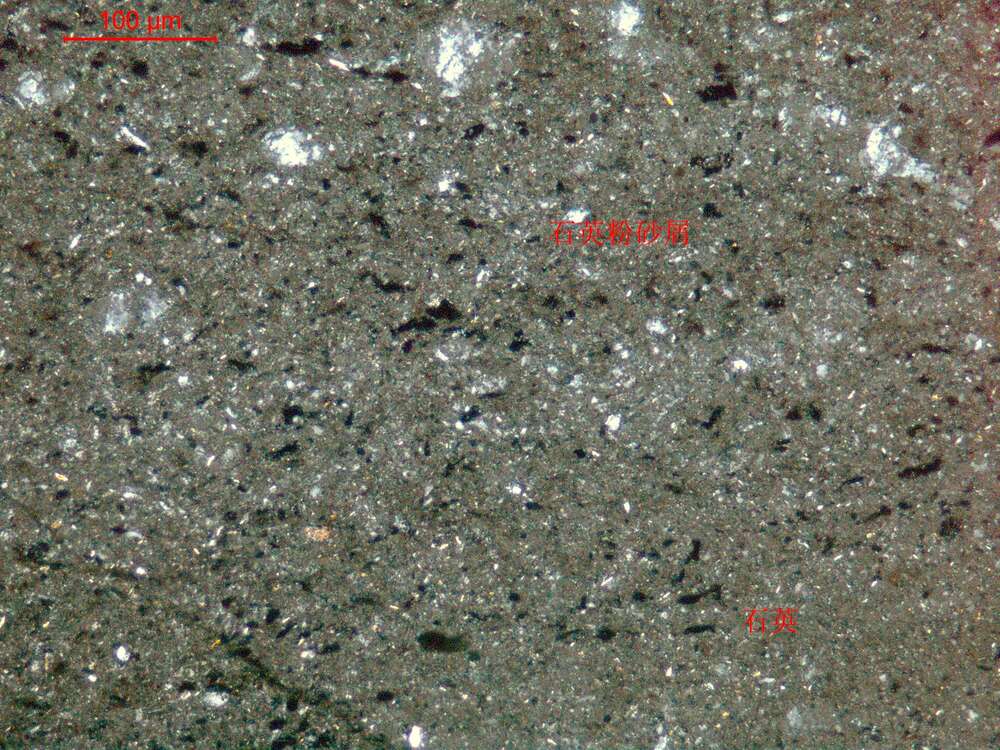 含粉砂泥硅质岩