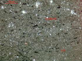 含粉砂泥硅质岩