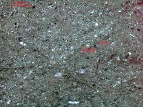 含泥含粉砂硅质岩