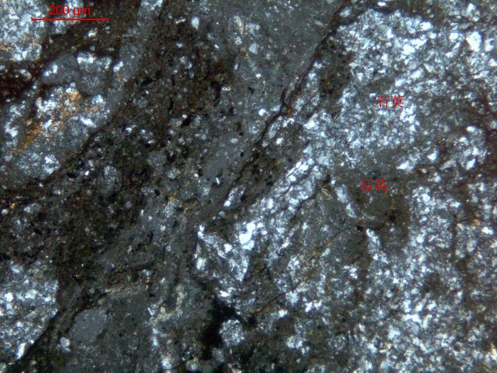 碎裂粉砂质泥硅质岩