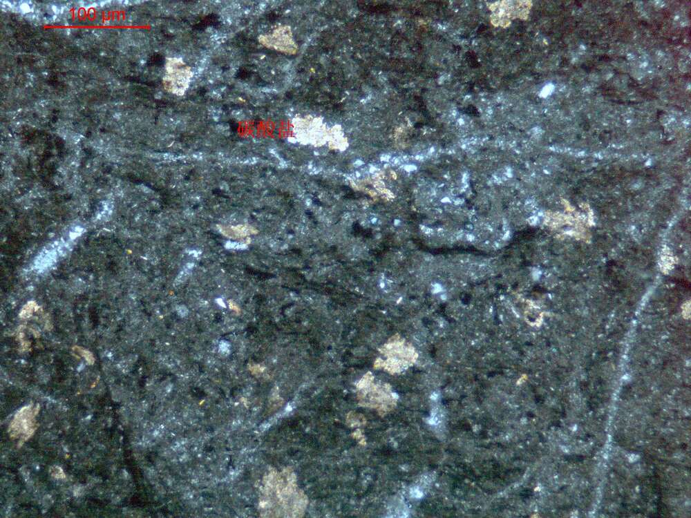 碎裂化硅泥质岩