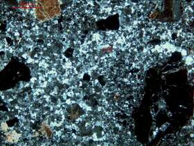 强硅化含砾砂岩