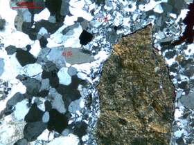 全硅化硅泥质岩