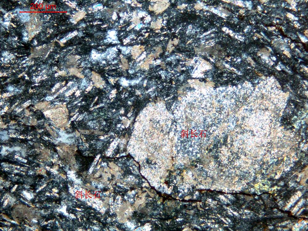 轻度片理化蚀变闪长玢岩