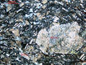 轻度片理化蚀变闪长玢岩