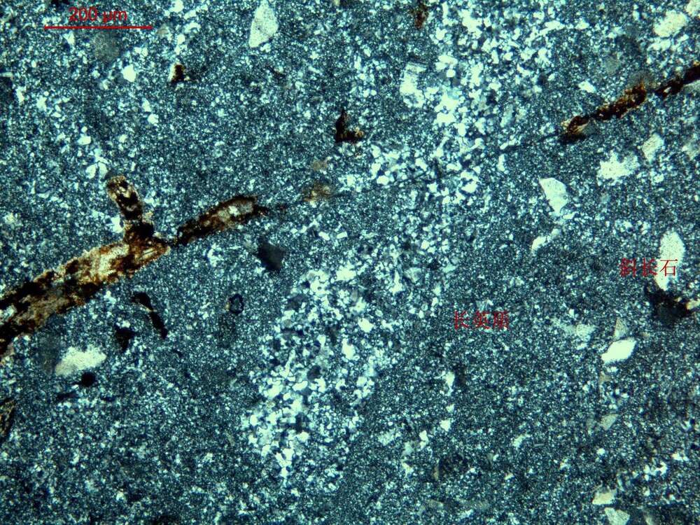 蚀变玻屑凝灰岩