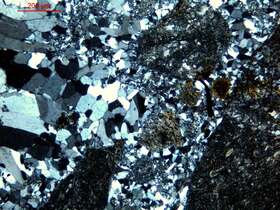 全硅化含粉砂泥岩