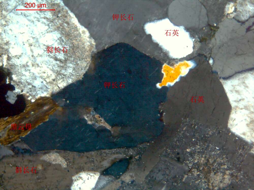 中细粒石英二长岩