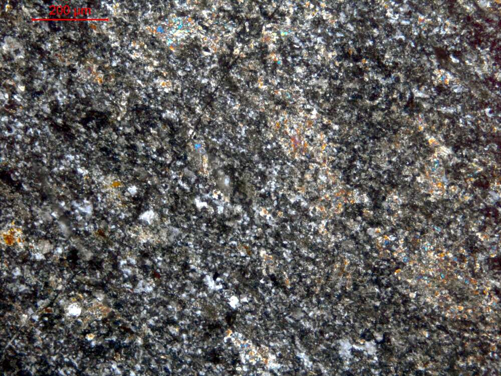 片理化蚀变中基性岩