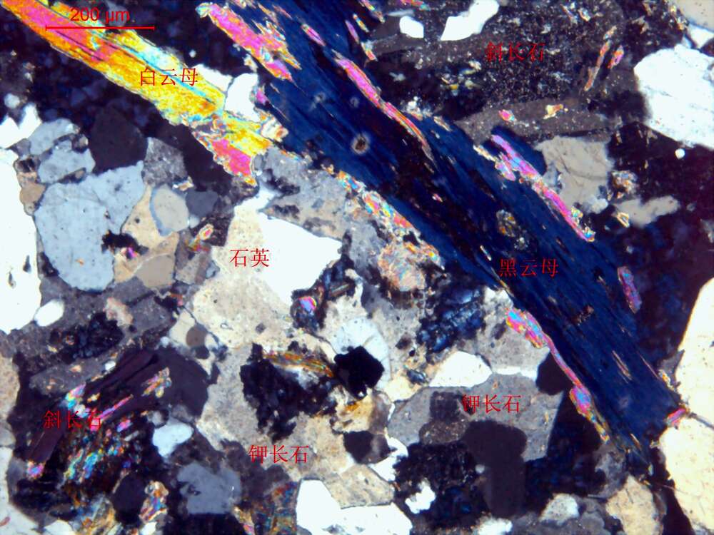 细粒二云母花岗闪长岩
