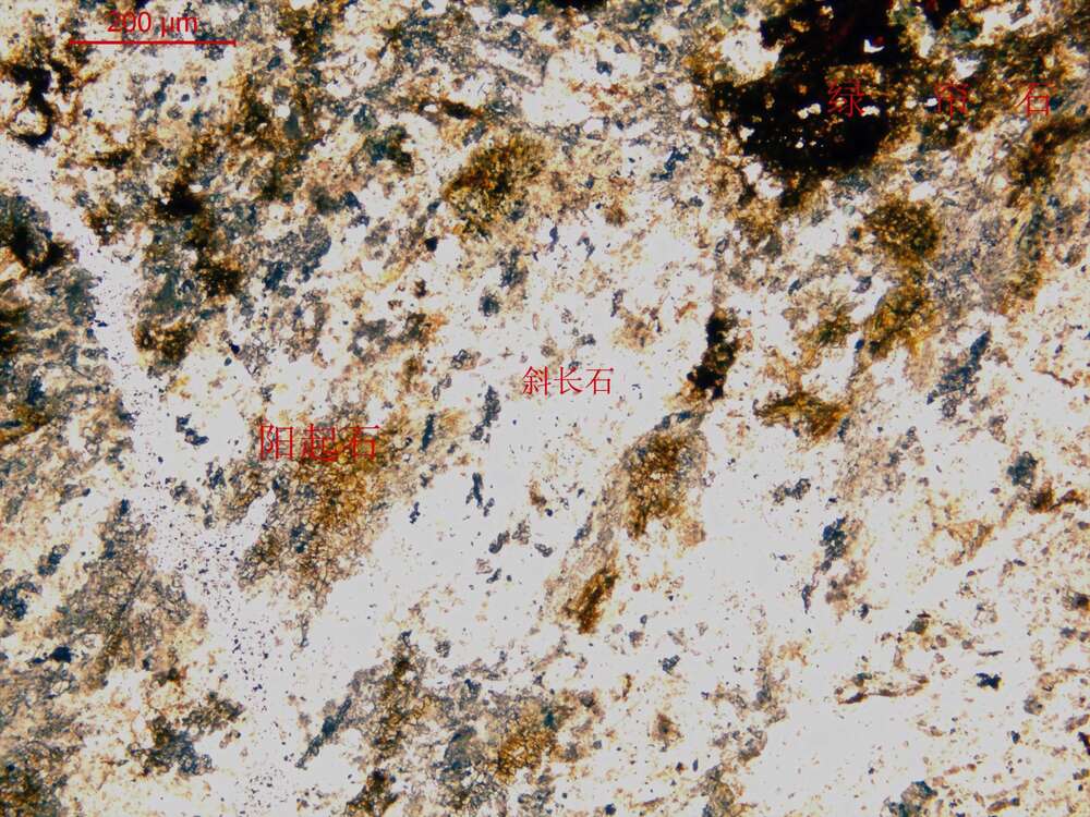 片理化碎裂闪长岩（闪长质碎粒岩）
