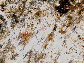 片理化碎裂闪长岩（闪长质碎粒岩）