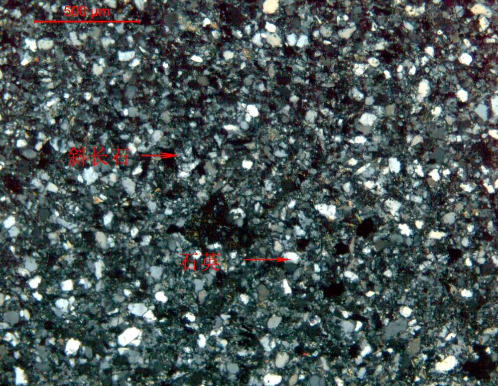 长石、石英变粒岩