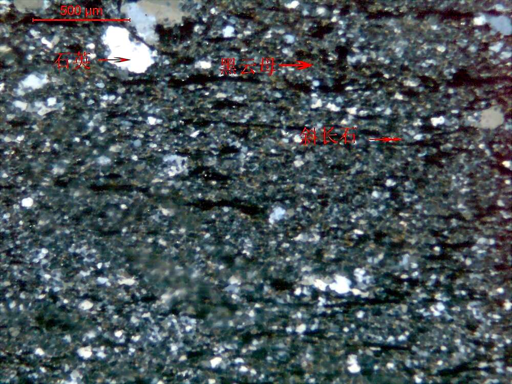 黑云母斜长片岩