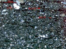 黑云母斜长片岩