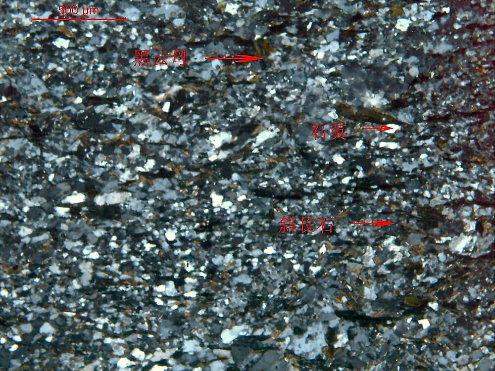 黑云母斜长片岩