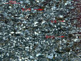 黑云母斜长片岩