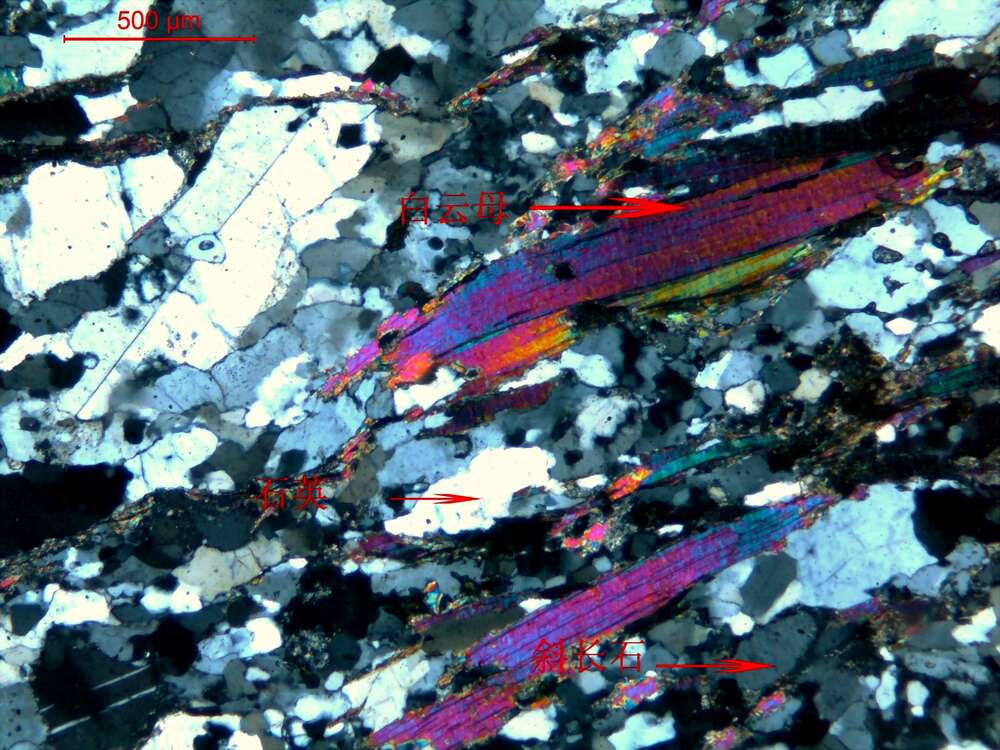 白云母斜长片麻岩