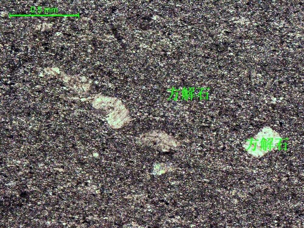 浅灰色微晶灰岩