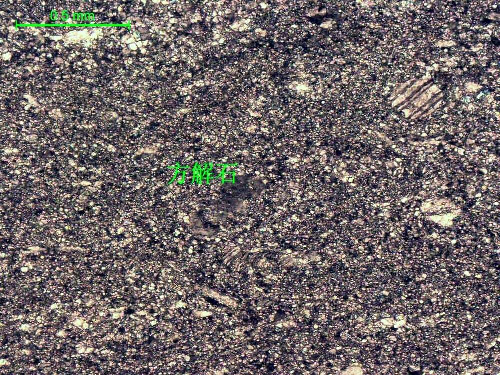 浅灰色微晶灰岩