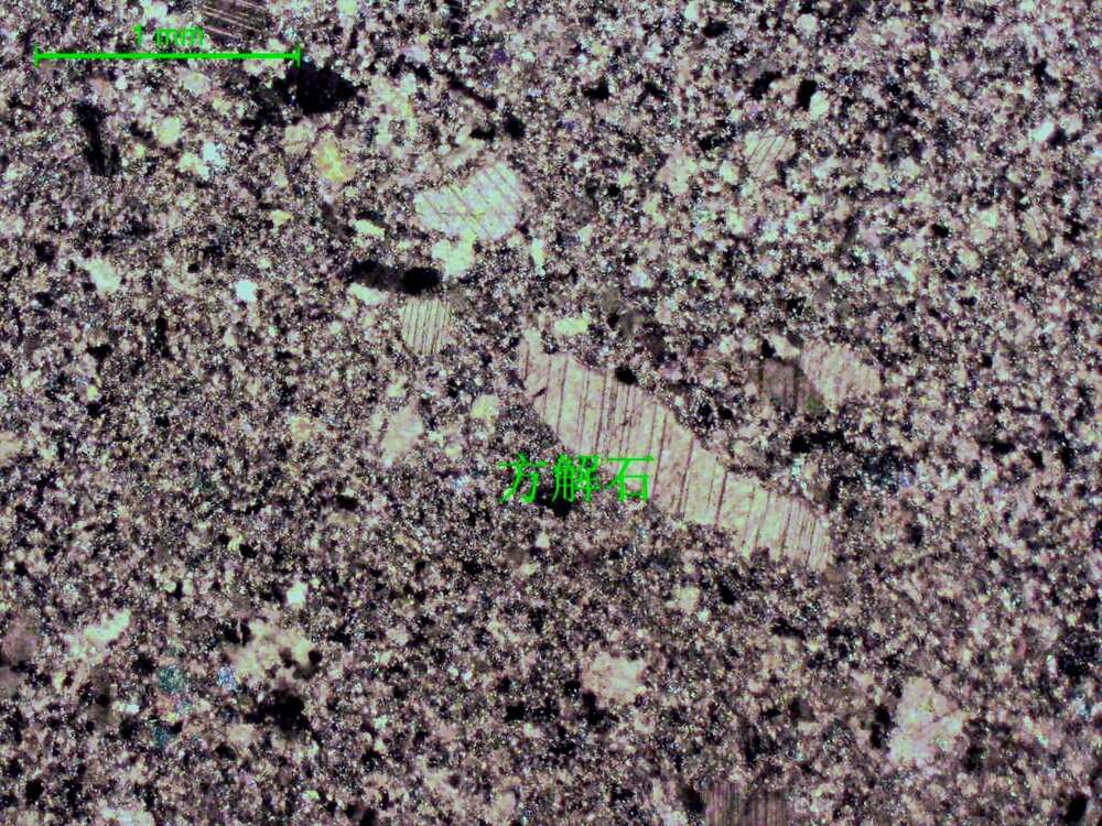 灰色微晶-粉晶灰岩