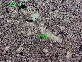 灰色微晶-粉晶灰岩