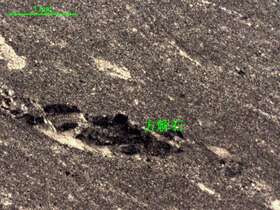 灰白色微晶灰岩