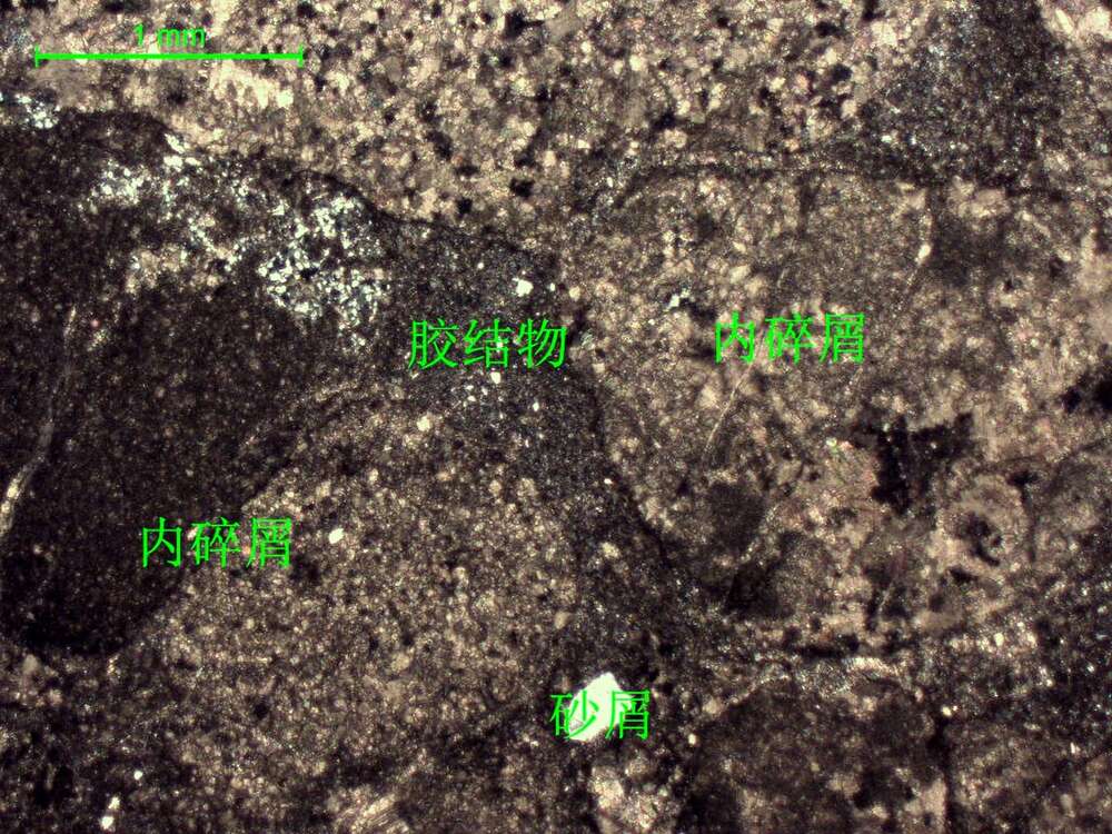 含砂屑泥晶内碎屑灰岩