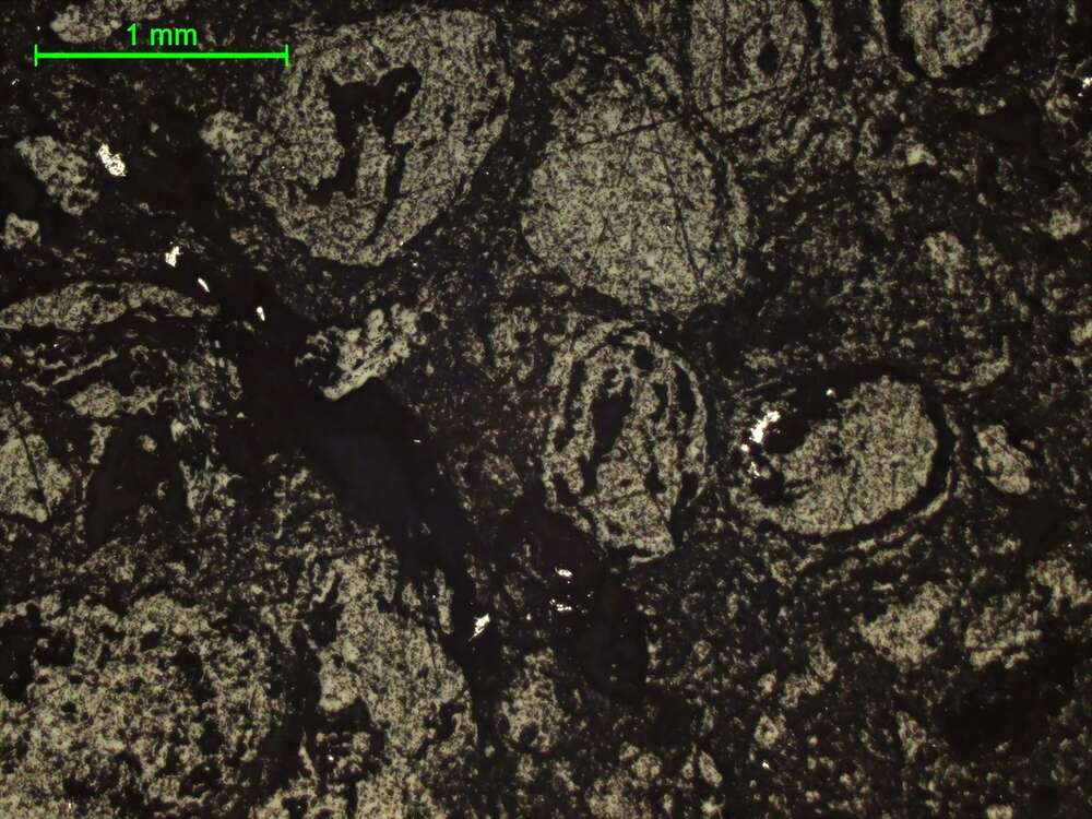 褐铁矿含钛矿物