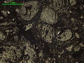 褐铁矿含钛矿物