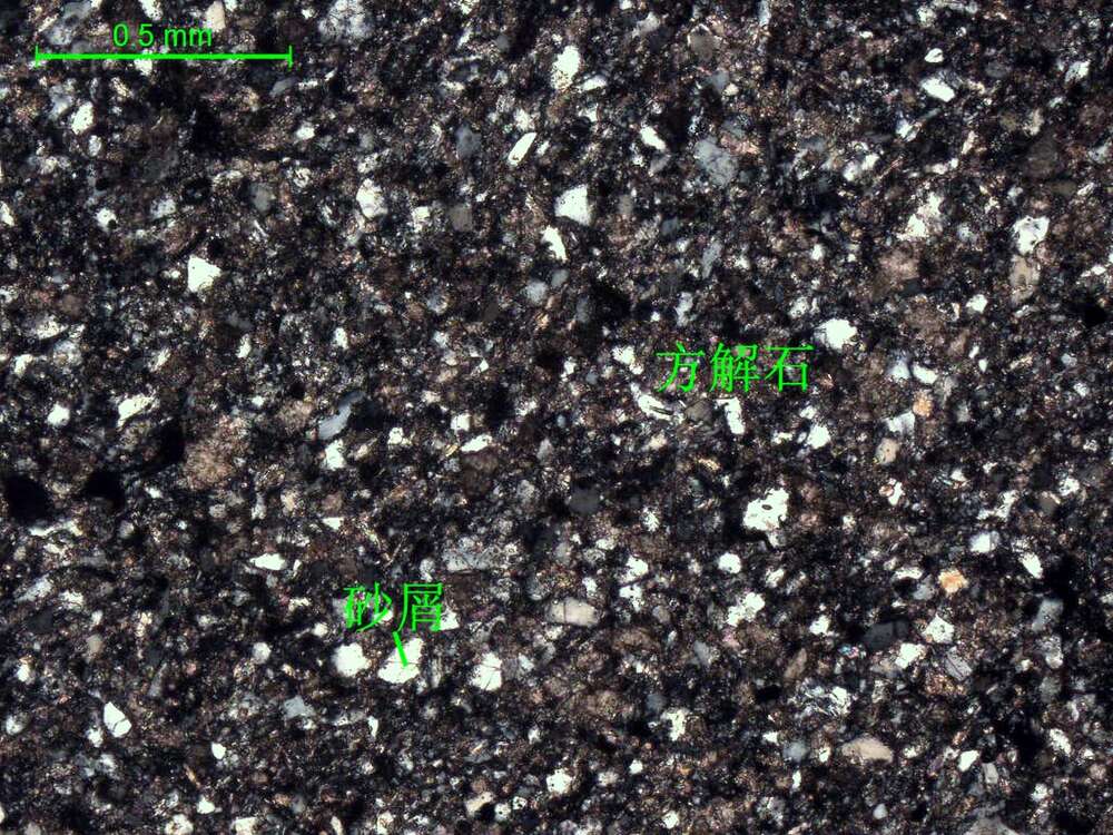 细砂质微-细晶灰岩