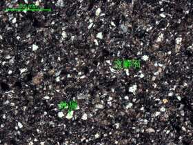 细砂质微-细晶灰岩