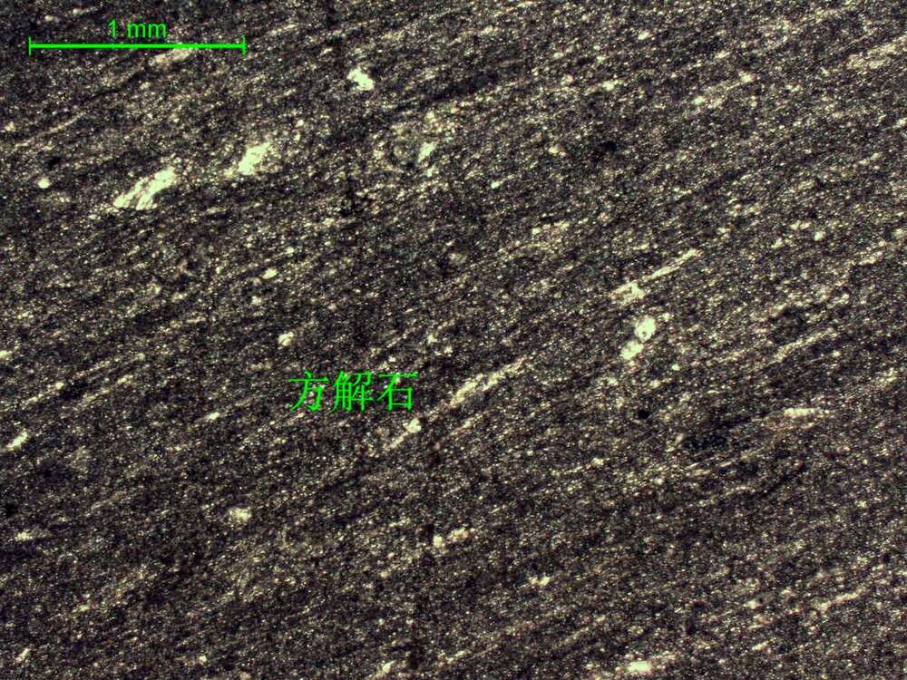 显微条带状微晶灰岩