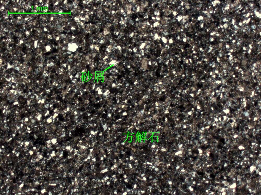 细砂质微晶-细晶灰岩