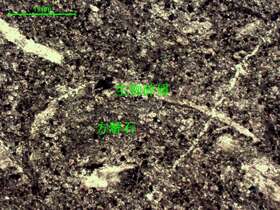 含生物屑细-粉晶灰岩