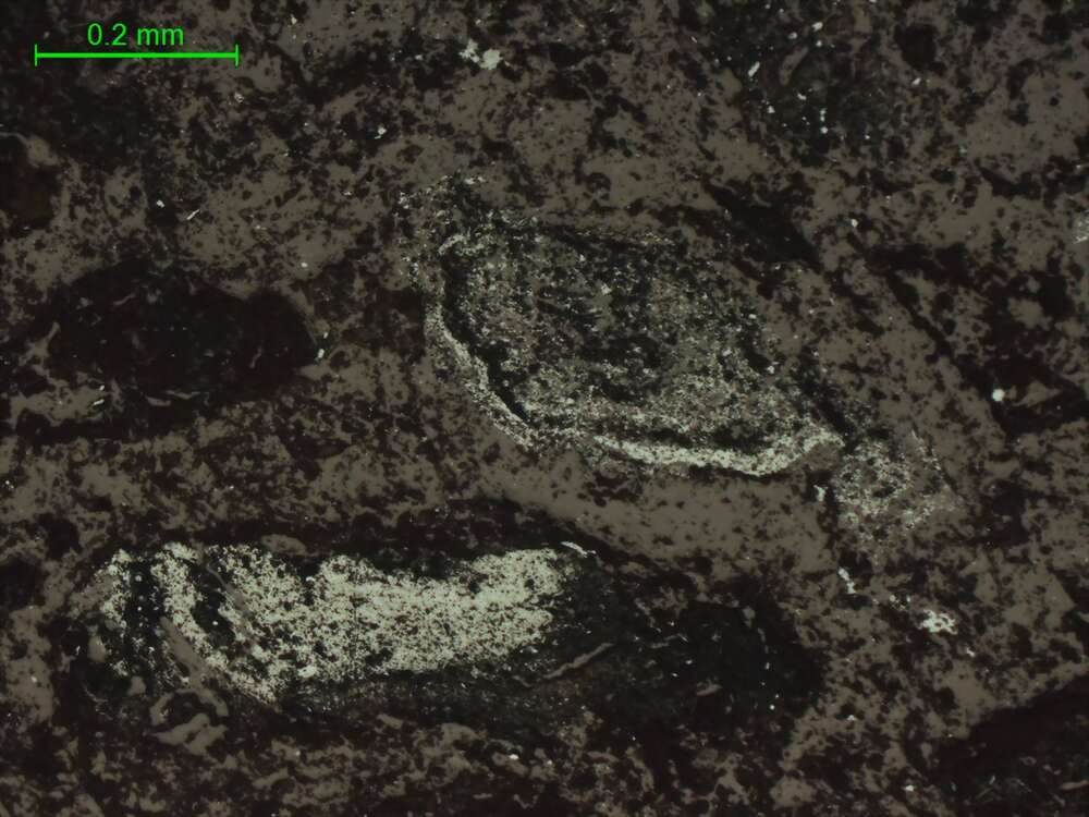 褐铁矿、钛铁矿、铁锰质